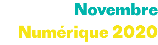 Novembre Numérique 2020